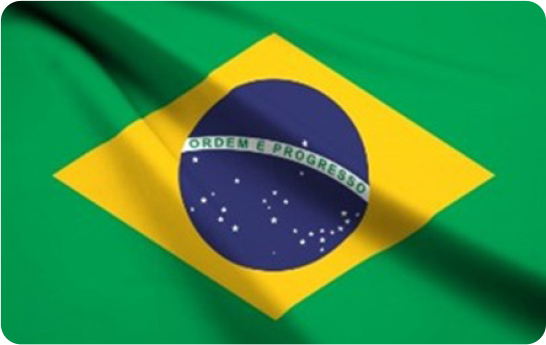 ⼤⾃然の栄養素を吸収した原産地ブラジル産