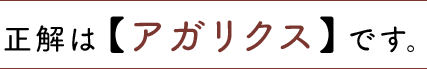 正解は【アガリクス】です。 