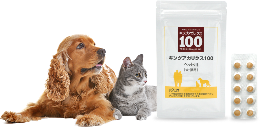 新品  キングアガリクス100 ペット用  犬 猫