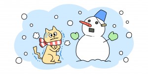 猫の冬対策