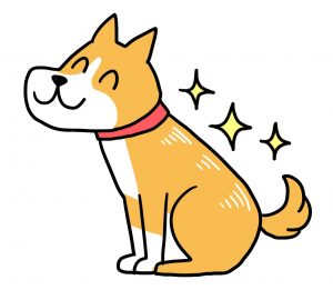 犬の毛並み