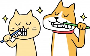 歯磨き