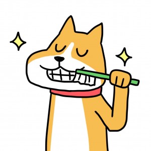 歯磨き