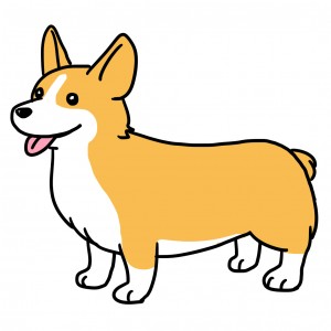 コーギー