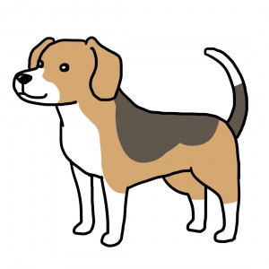ビーグル