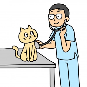 猫　治療