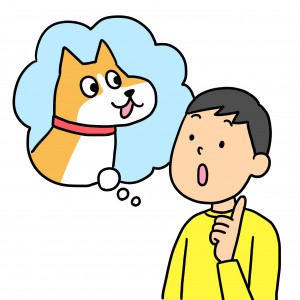 犬の脳腫瘍の原因 症状 治療法 犬の脳腫瘍の原因 症状 治療法