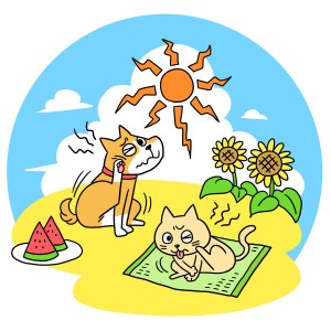 夏対策