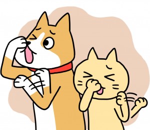 体臭、口臭