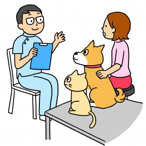 犬、猫の治療