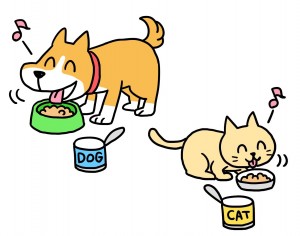 犬、猫食事