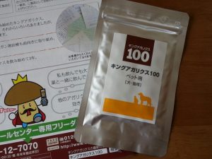 キングアガリクス100とパンフ