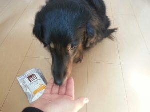 キングアガリクス100食べている犬