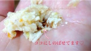 餌に混ぜたキングアガリクス