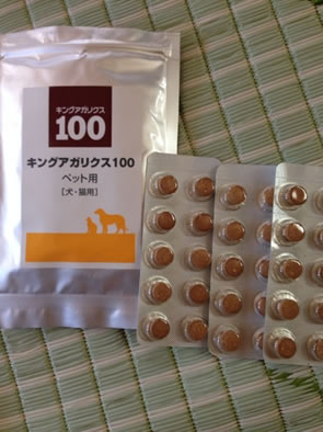 ペット用アガリクス