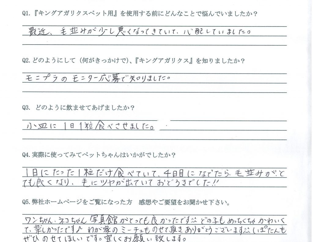 猫　毛並み