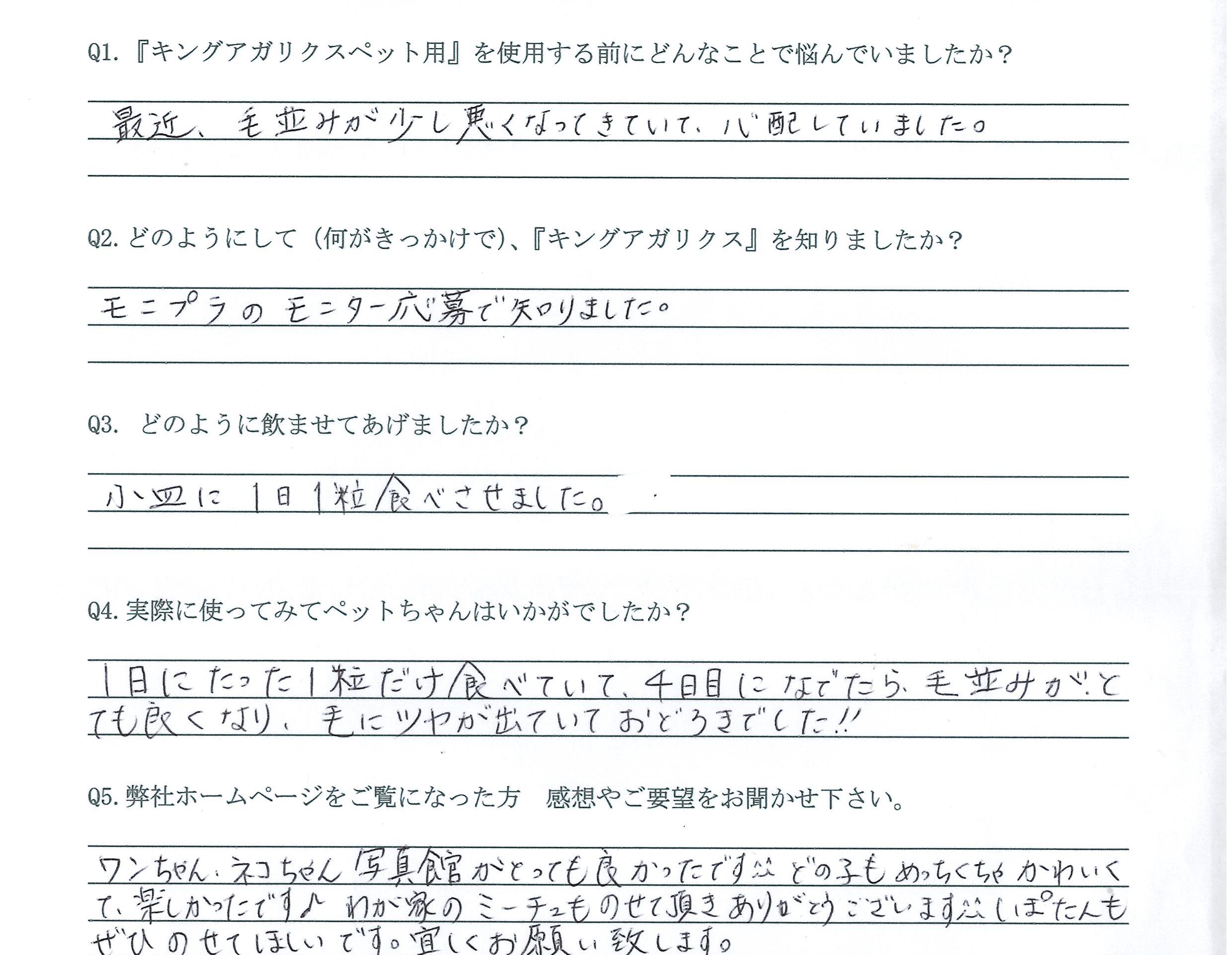 猫　毛並み