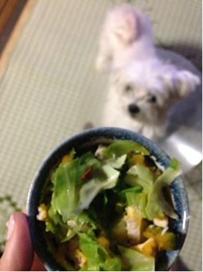 ご飯の中にアガリクス