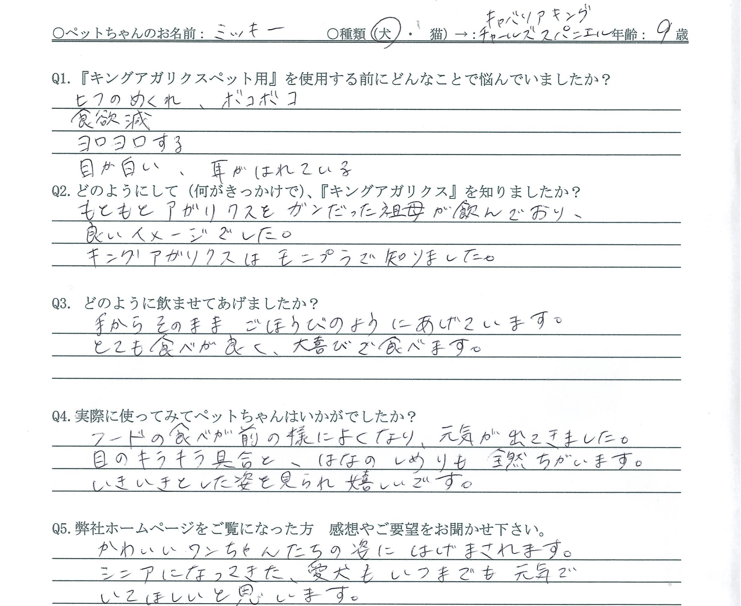 キャバリア　元気