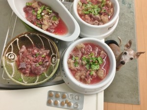 犬ご飯