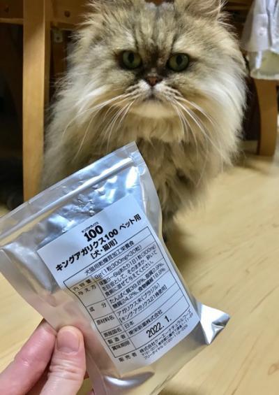 ねことキングアガリクス100