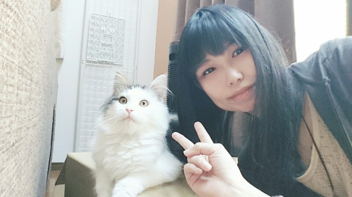 ノルウェージャンフォレストキャット