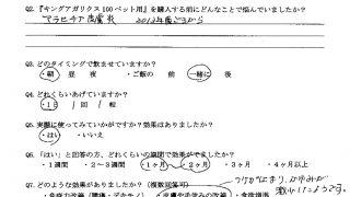 トイプードル　マラセチア