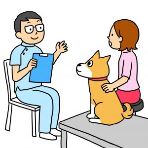 犬の治療