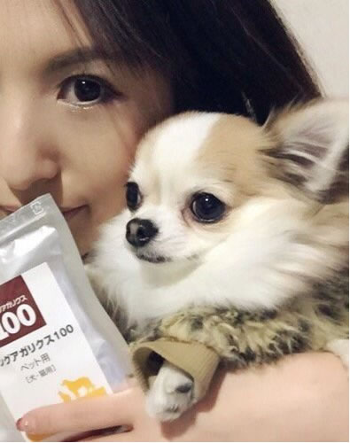 飼い主さんと犬