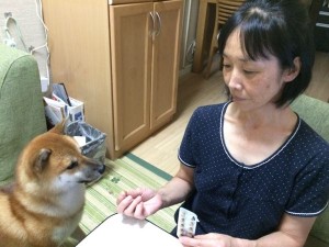 犬と飼い主さん