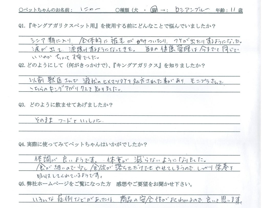 ロシアンブルー　食欲