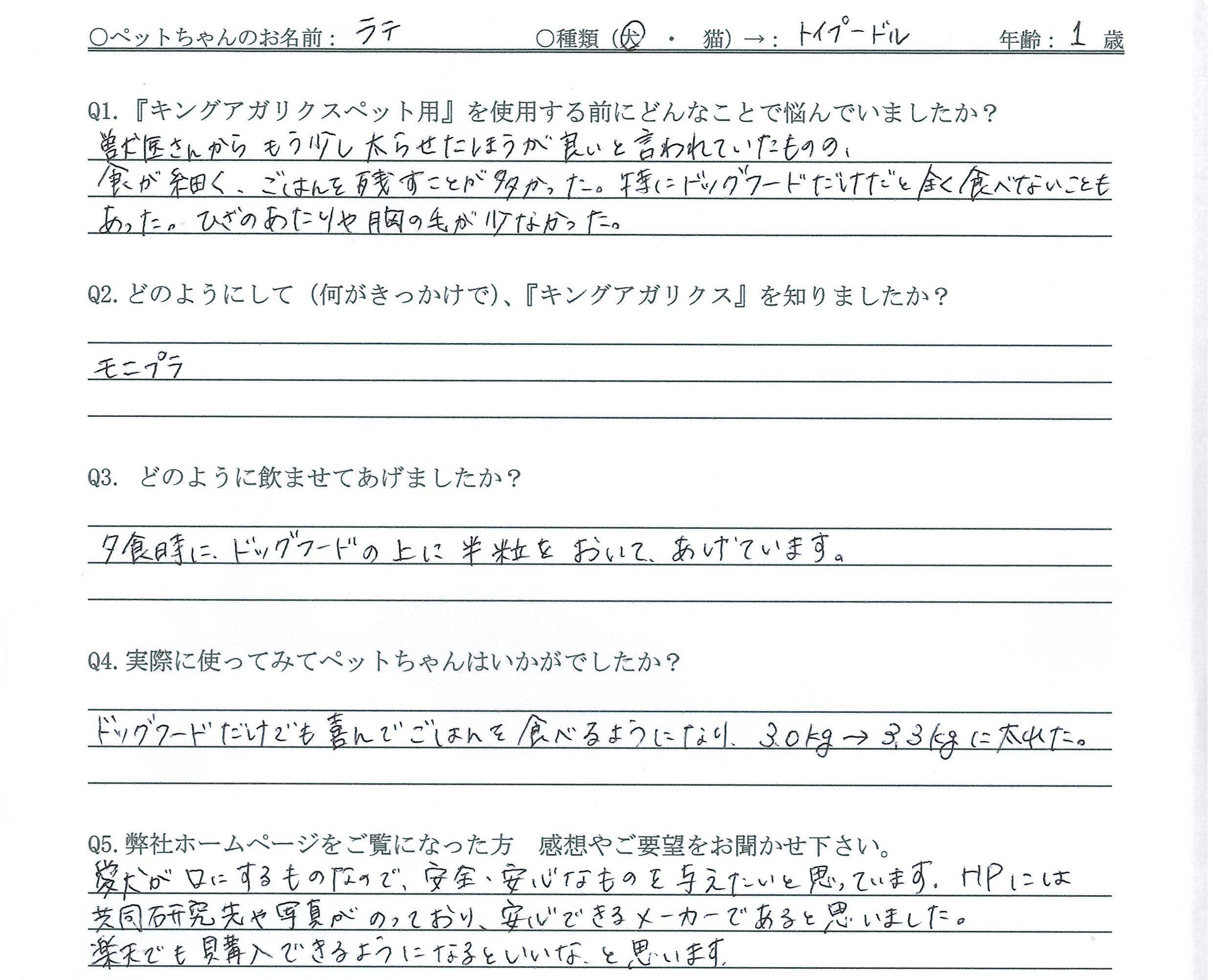 トイプードル　食欲