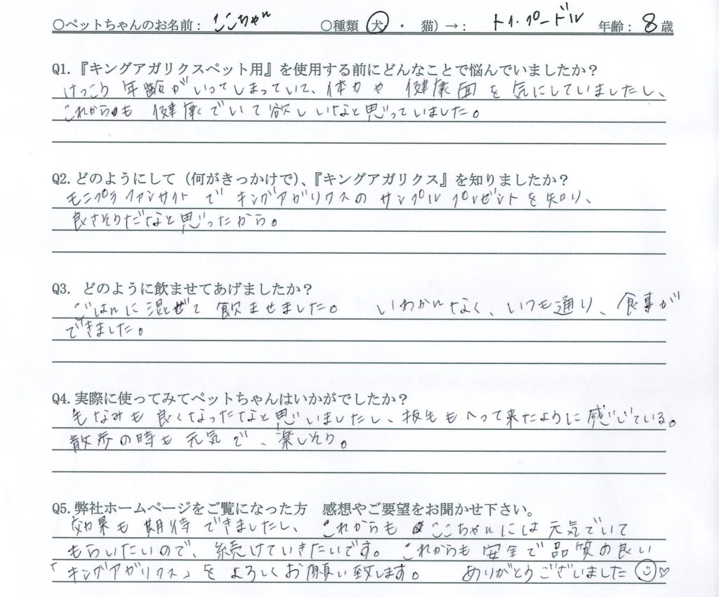 トイプードル　元気　毛並