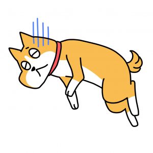 犬