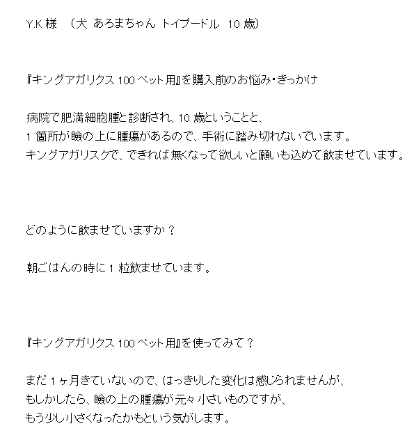 トイプードル　肥満細胞腫