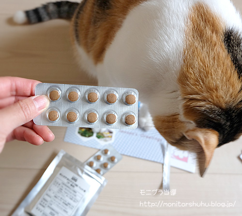 ねことキングアガリクス100