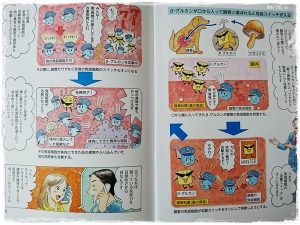 キングアガリクス100の説明マンガ