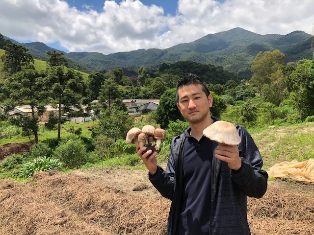 キングアガリクス農場