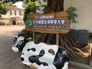 学会