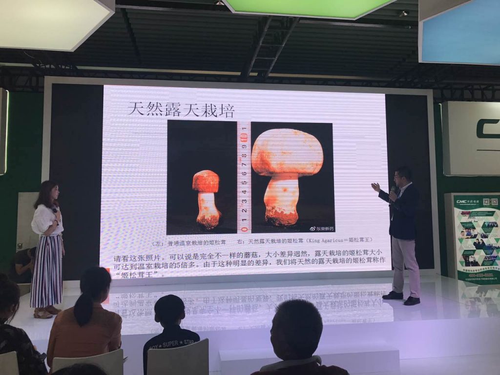 泰州展示会
