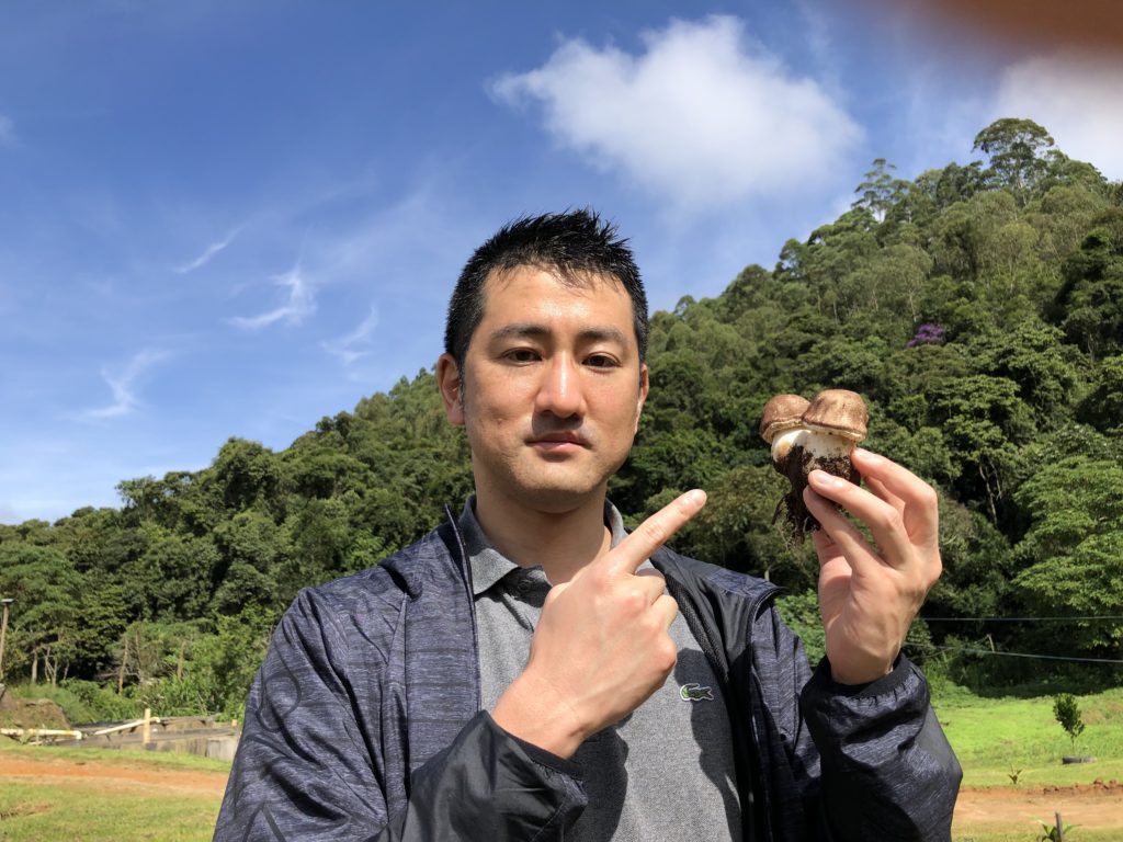 キングアガリクス
