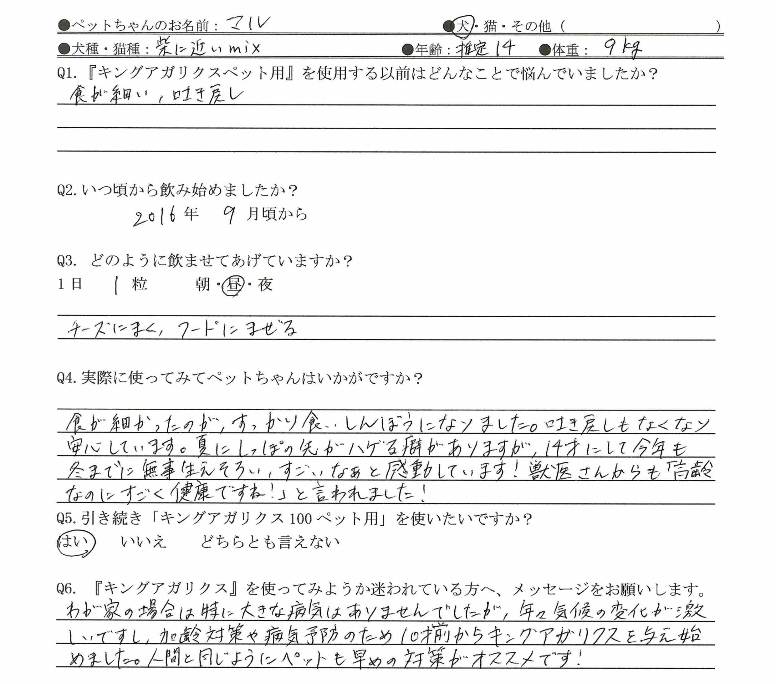 柴MIX
