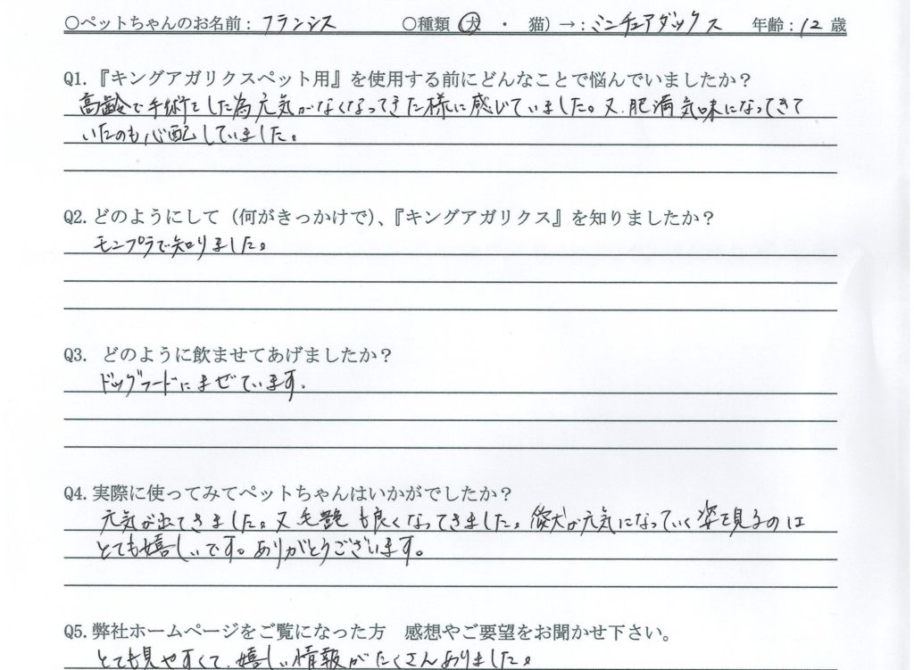 ミニチュアダックス　元気　毛並