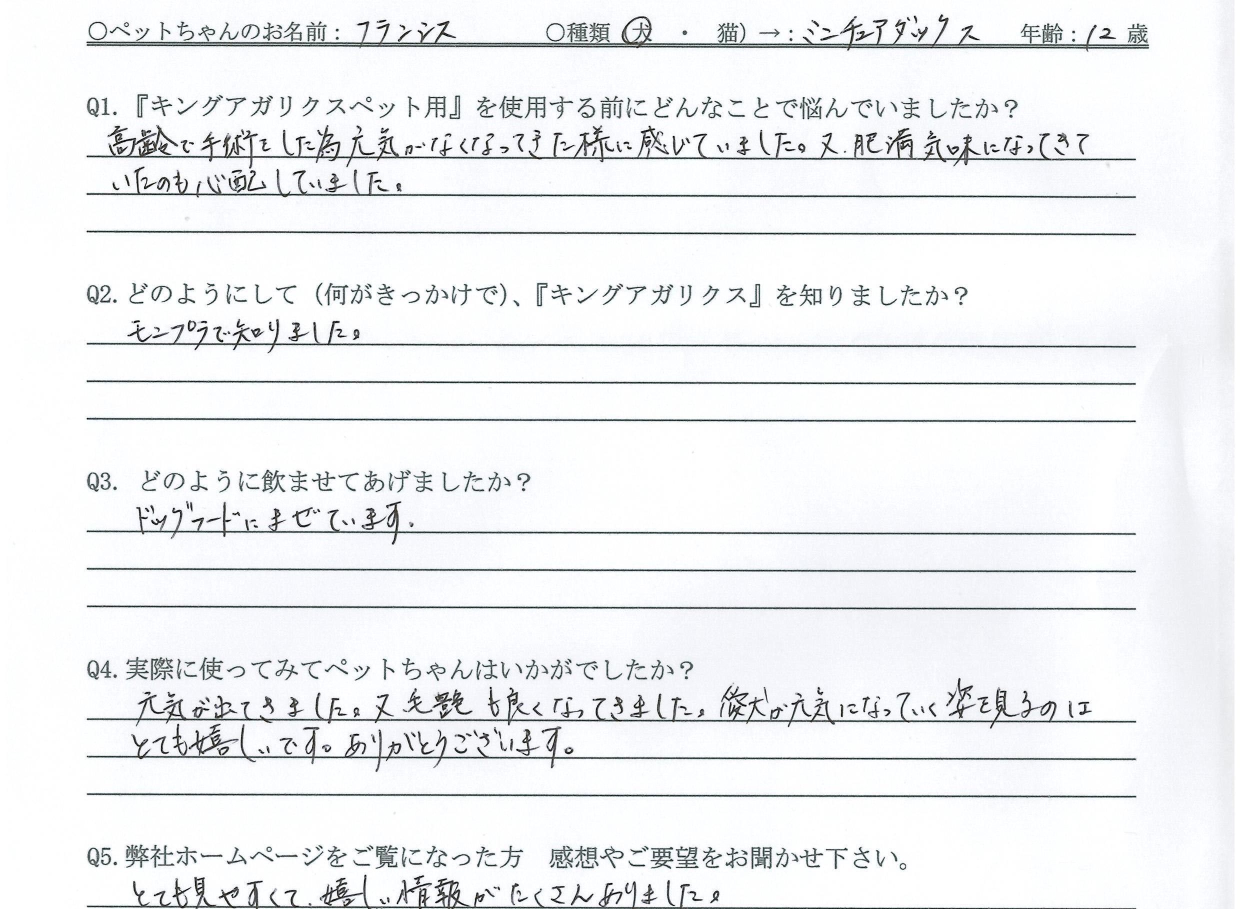 ミニチュアダックス　元気　毛並