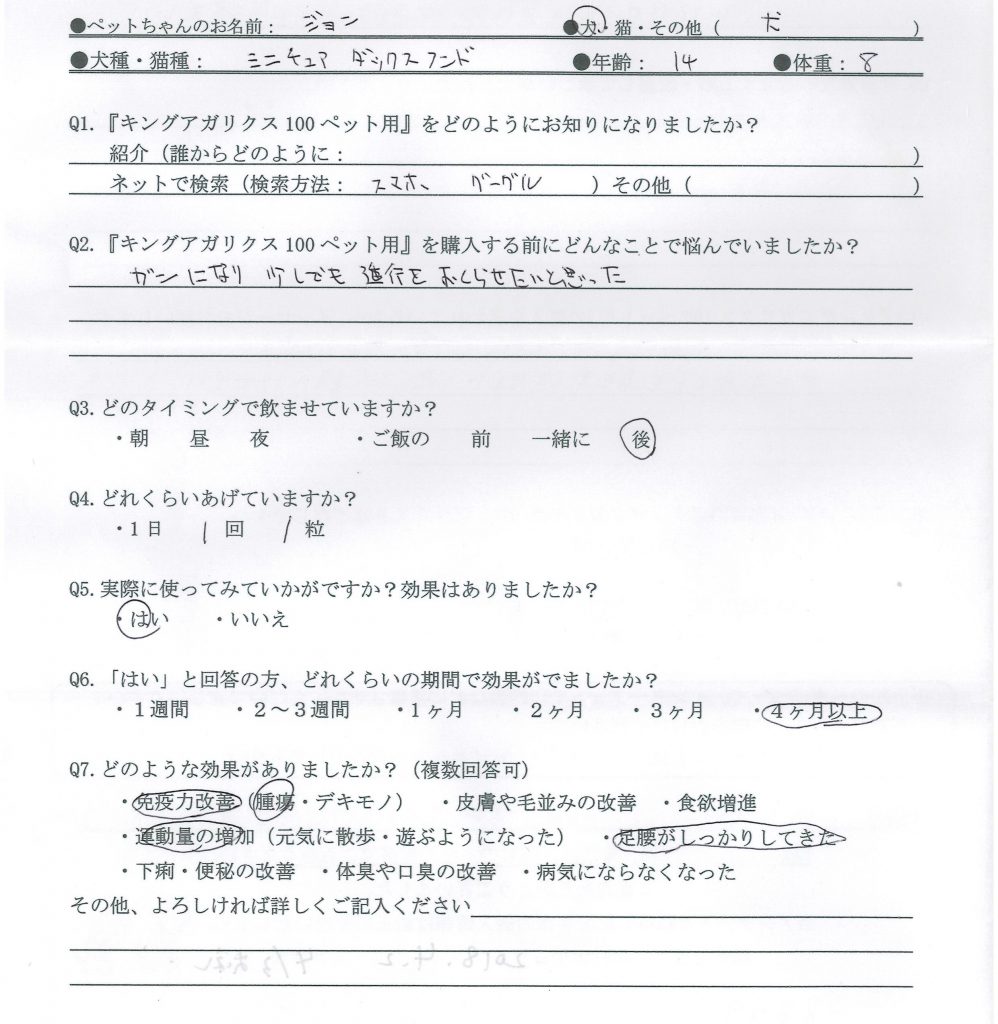 ミニチュアダックス　腫瘍