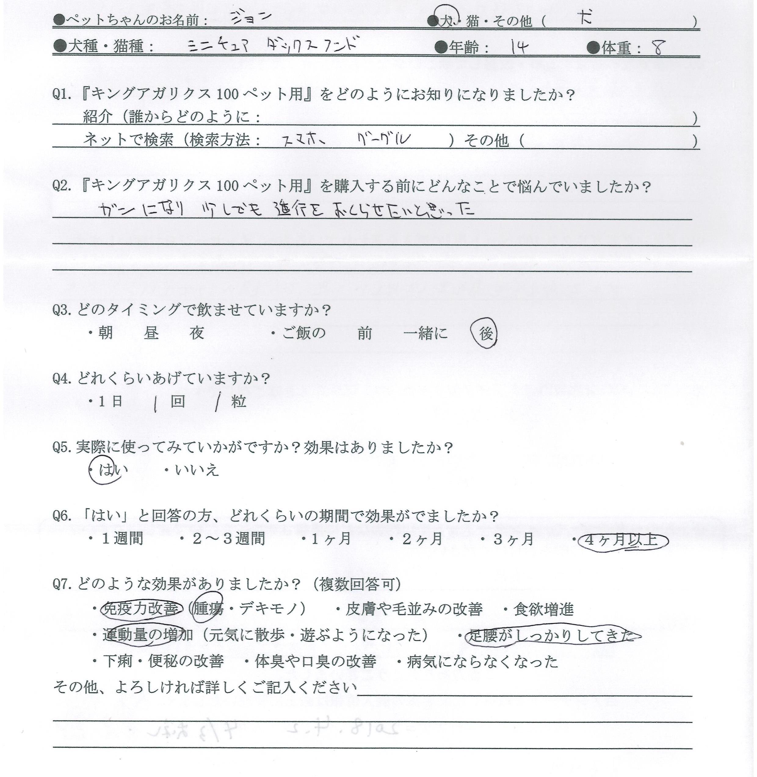 ミニチュアダックス　腫瘍