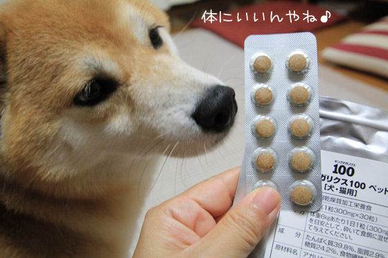 きなこちゃん