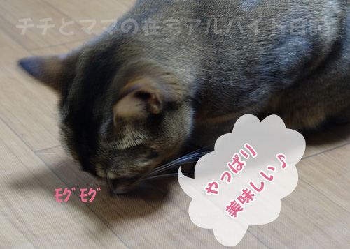 ねこ