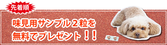 サンプルプレゼント