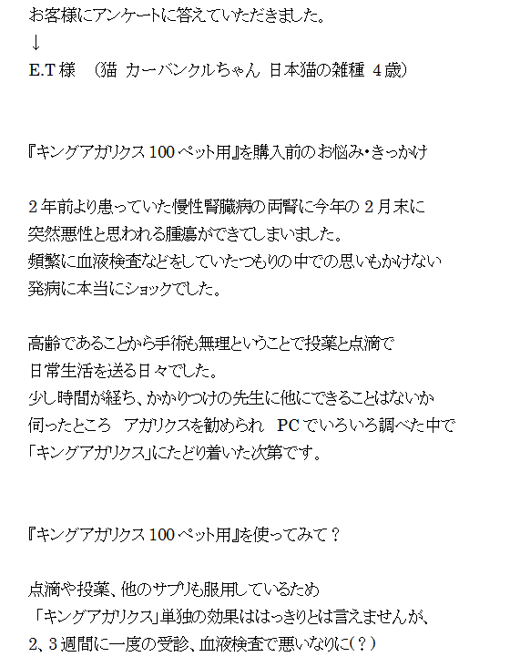 ねこ